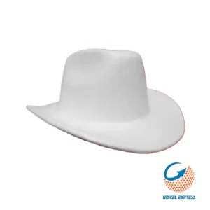 Clave 598 Sombrero de Unicel Texano 33.5x30 cm 5 piezas