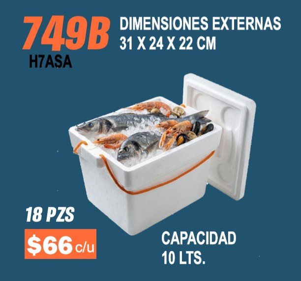 Clave 749B Hielera de Unicel Dimensiones 31x24x22 cm Capacidad 10 Lts. 18 piezas