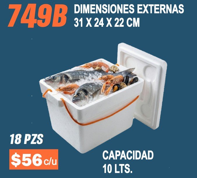 Clave 749B Hielera de Unicel Dimensiones 31x24x22 cm Capacidad 10 Lts.