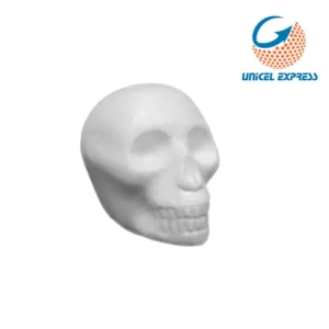 Clave 701  Cráneo 18x11x13.6 cm Empaque 10 piezas